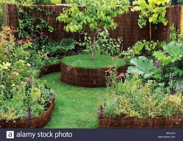 garden-plants-for-small-gardens-35_4 Vrtne biljke za male vrtove