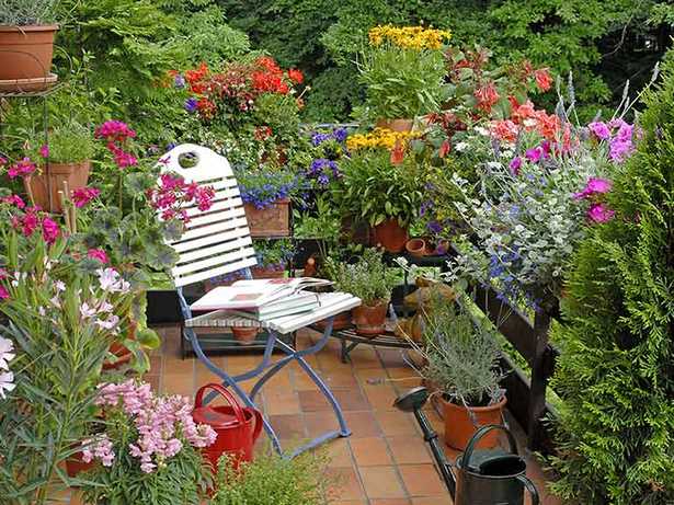 garden-plants-for-small-gardens-35_6 Vrtne biljke za male vrtove