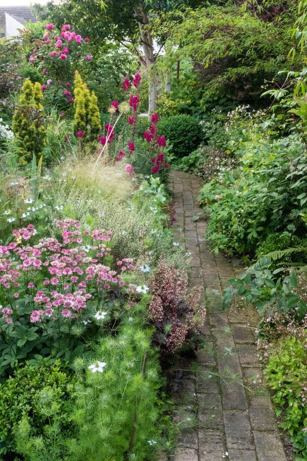garden-plants-for-small-gardens-35_8 Vrtne biljke za male vrtove