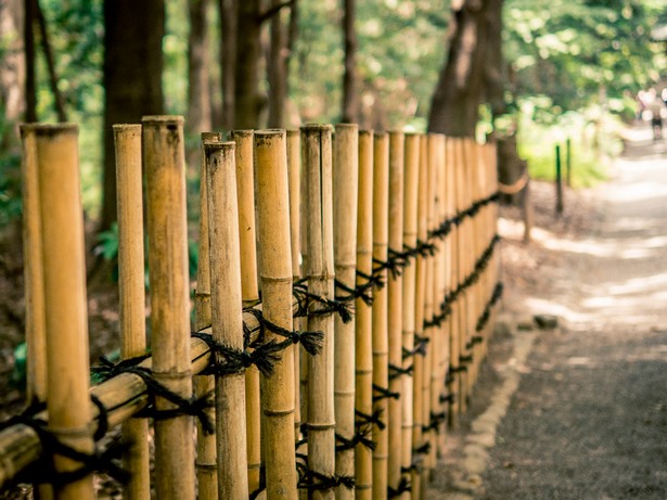 japanese-bamboo-fence-designs-50_8 Japanski dizajni bambusovih ograda
