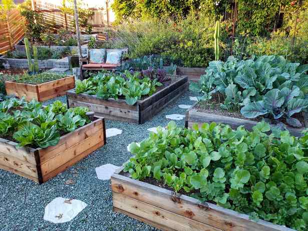 raised-bed-farming-25 Uzgoj podignutog kreveta