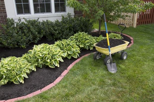 nice-cheap-garden-ideas-14_5 Dobre jeftine ideje za vrt
