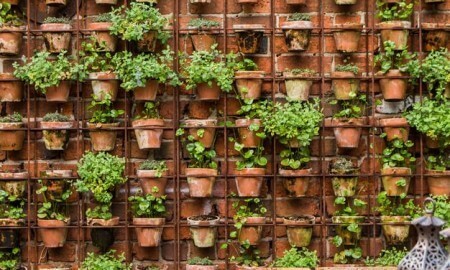 nice-cheap-garden-ideas-14_7 Dobre jeftine ideje za vrt
