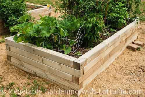 basic-raised-garden-bed-99_13 Osnovni podignuti vrtni krevet