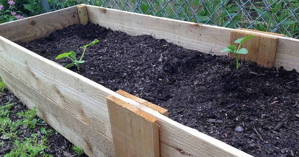 basic-raised-garden-bed-99_15 Osnovni podignuti vrtni krevet