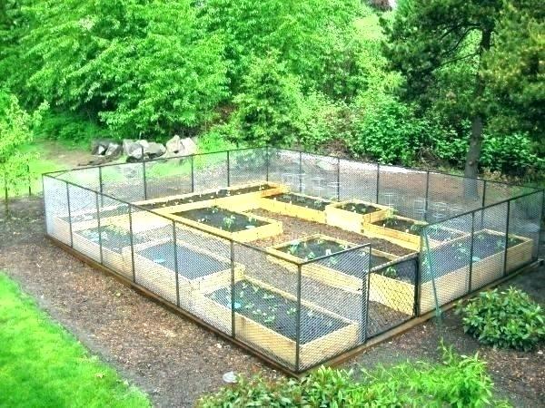 basic-raised-garden-bed-99_16 Osnovni podignuti vrtni krevet