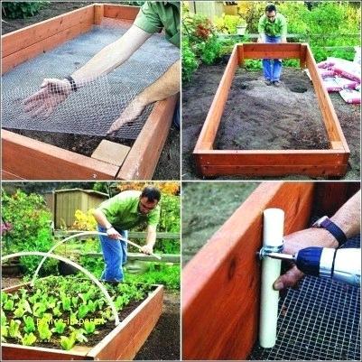 basic-raised-garden-bed-99_17 Osnovni podignuti vrtni krevet