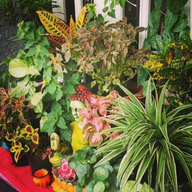 pots-arrangement-garden-54 Vrtni sastav lonaca