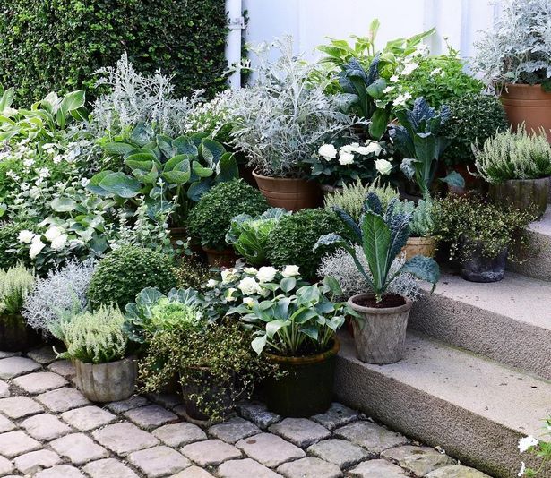 pots-arrangement-garden-54 Vrtni sastav lonaca