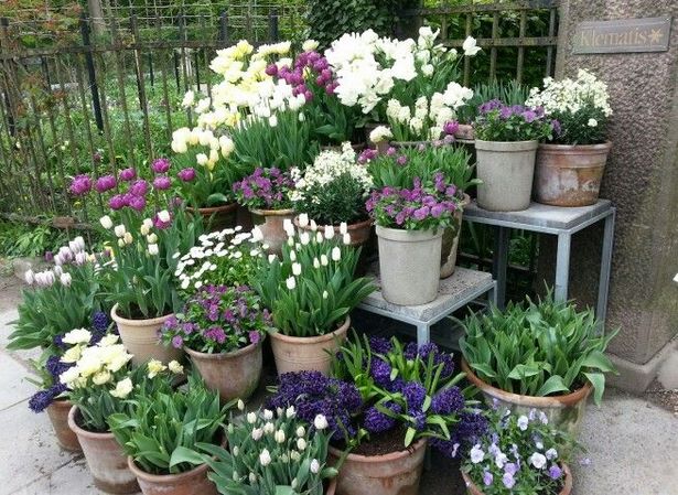 pots-arrangement-garden-54_12 Vrtni sastav lonaca