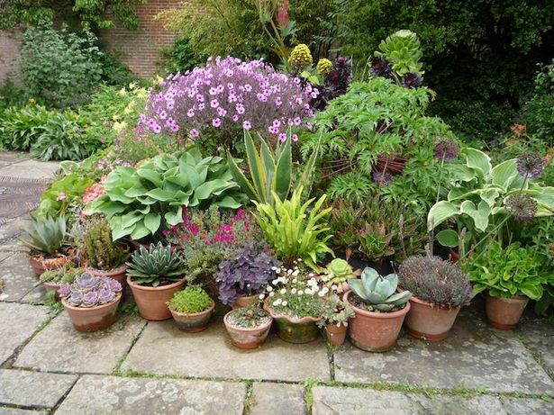 pots-arrangement-garden-54_16 Vrtni sastav lonaca
