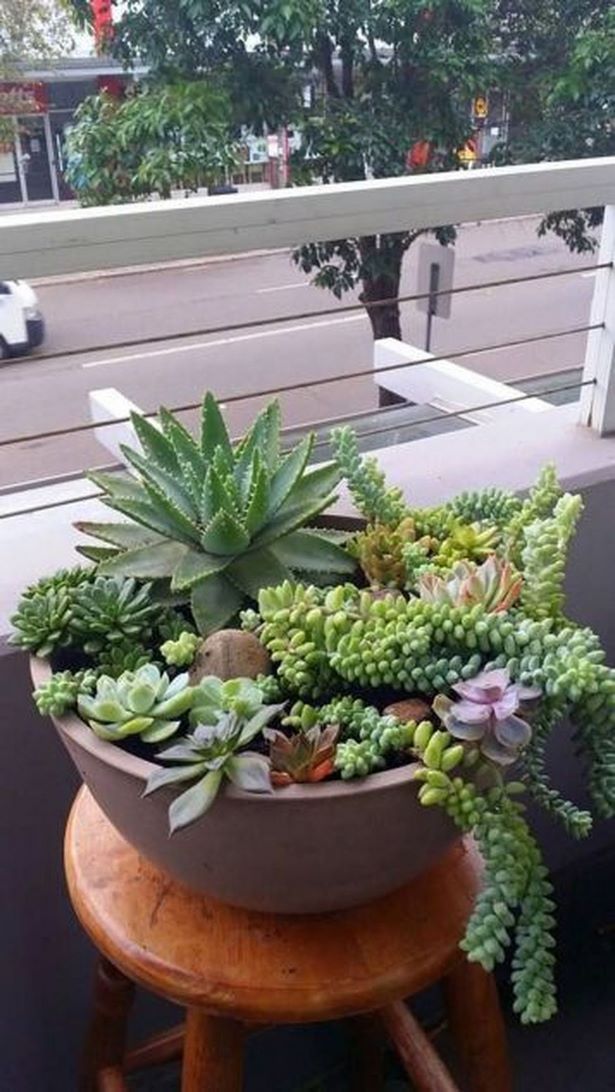 pots-arrangement-garden-54_3 Vrtni sastav lonaca