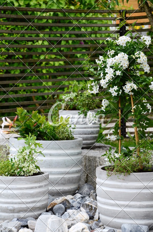 pots-arrangement-garden-54_4 Vrtni sastav lonaca