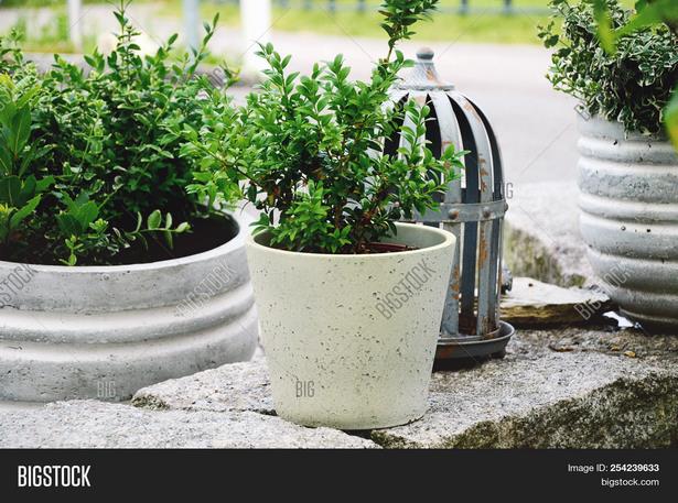 pots-arrangement-garden-54_6 Vrtni sastav lonaca