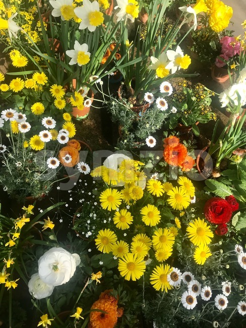 pots-arrangement-garden-54_9 Vrtni sastav lonaca