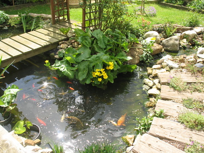 garden-with-pond-14_12 Vrt s ribnjakom