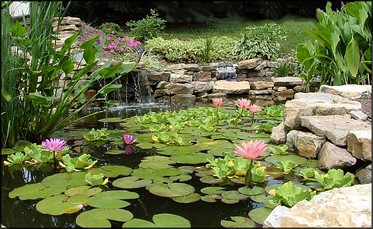 garden-with-pond-14_13 Vrt s ribnjakom