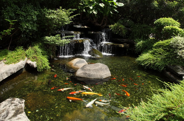 garden-with-pond-14_17 Vrt s ribnjakom