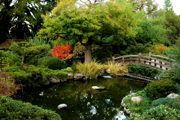 garden-with-pond-14_4 Vrt s ribnjakom