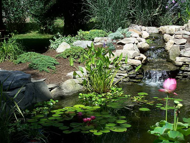 garden-with-pond-14_6 Vrt s ribnjakom