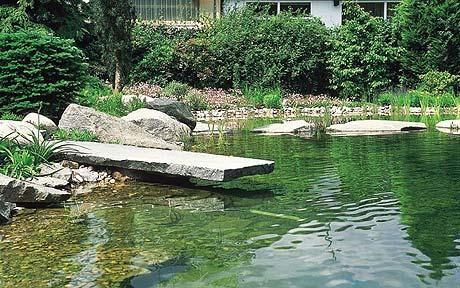 garden-with-pond-14_9 Vrt s ribnjakom