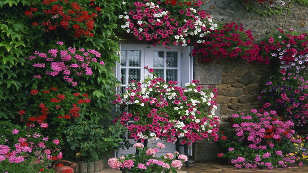 house-flower-garden-28_14 Kućni cvjetni vrt