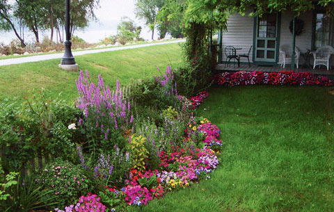house-flower-garden-28_18 Kućni cvjetni vrt