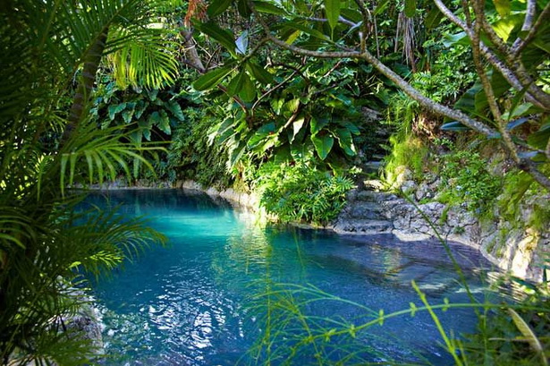 lush-tropical-gardens-29 Bujni tropski vrtovi