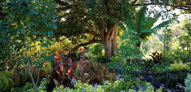 lush-tropical-gardens-29_13 Bujni tropski vrtovi