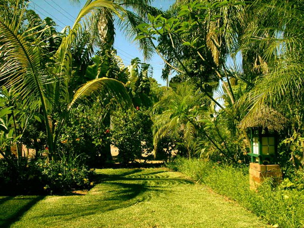lush-tropical-gardens-29_15 Bujni tropski vrtovi