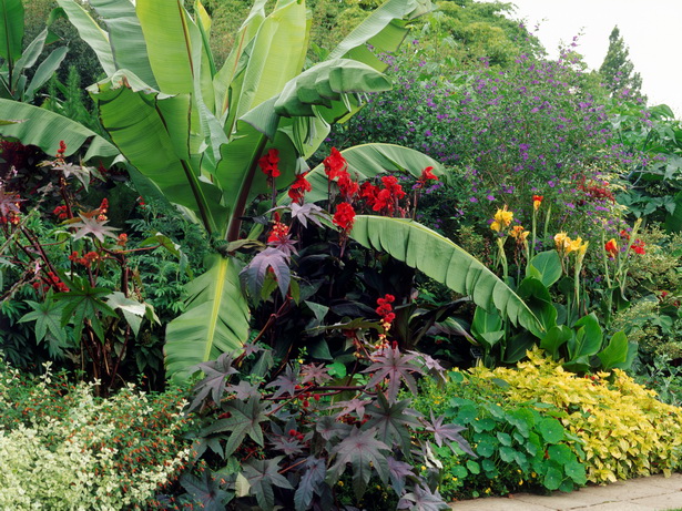 lush-tropical-gardens-29_19 Bujni tropski vrtovi