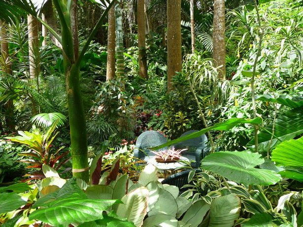 lush-tropical-gardens-29_2 Bujni tropski vrtovi