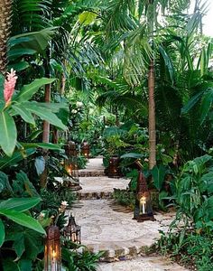 lush-tropical-gardens-29_3 Bujni tropski vrtovi