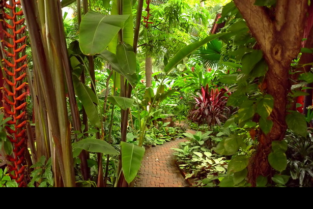 lush-tropical-gardens-29_9 Bujni tropski vrtovi