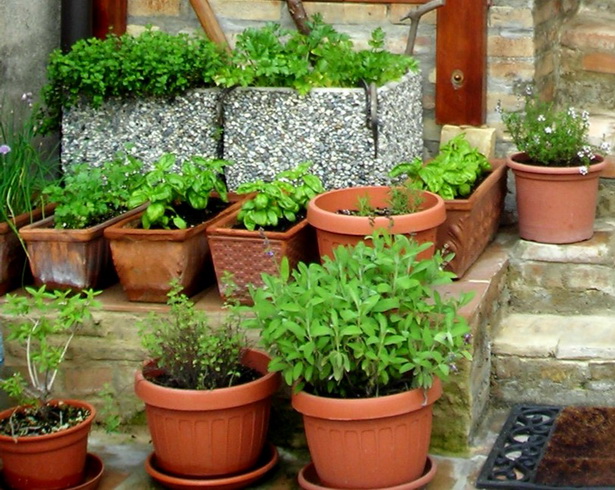 outdoor-herb-gardens-22_15 Otvoreni biljni vrtovi