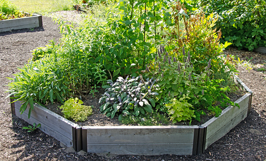 outdoor-herb-gardens-22_3 Otvoreni biljni vrtovi