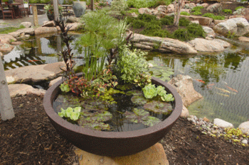 patio-pond-27 Ribnjak na terasi