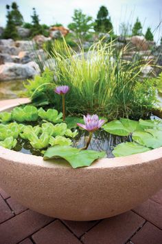 patio-pond-27_11 Ribnjak na terasi
