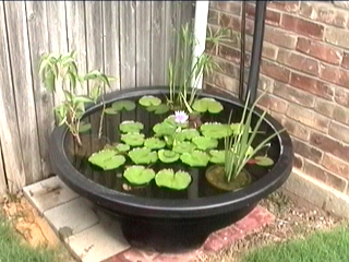 patio-pond-27_14 Ribnjak na terasi