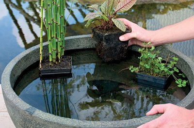 patio-pond-27_3 Ribnjak na terasi