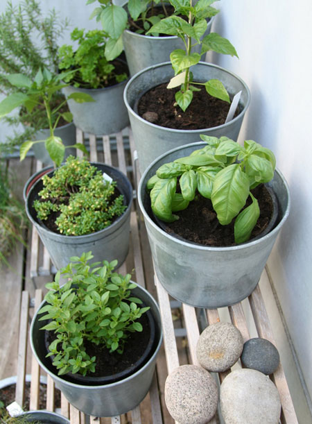 terraced-herb-garden-86_10 Terasasti biljni vrt
