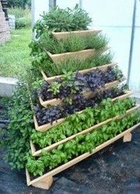 terraced-herb-garden-86_5 Terasasti biljni vrt