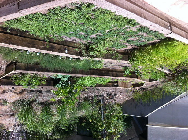 terraced-herb-garden-86_8 Terasasti biljni vrt
