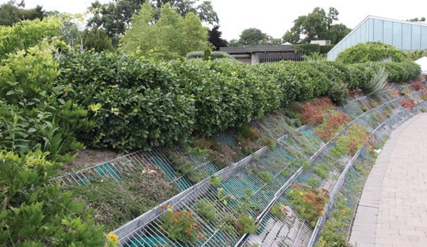 terraced-herb-garden-86_9 Terasasti biljni vrt