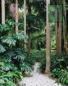 tropical-garden-decor-40_11 Dekor tropskog vrta