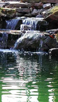 waterfall-pond-06_8 Ribnjak s vodopadom